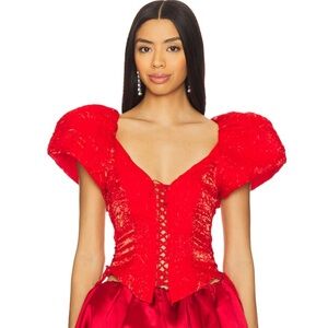 For Love and lemon organza top